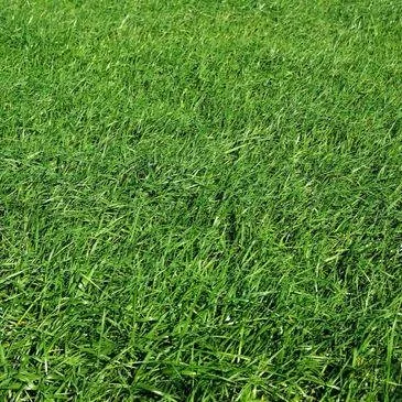 Professional landscape installation in Loves Park, IL - Hart Lawn Care