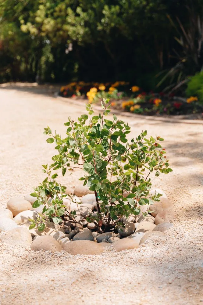 Custom yard maintenance in Pismo Beach, CA - Hart to Heart Landscaping