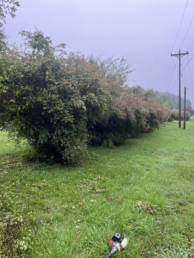 Custom landscape installation for year-round maintenance in Jefferson, GA by Hartco Enterprises