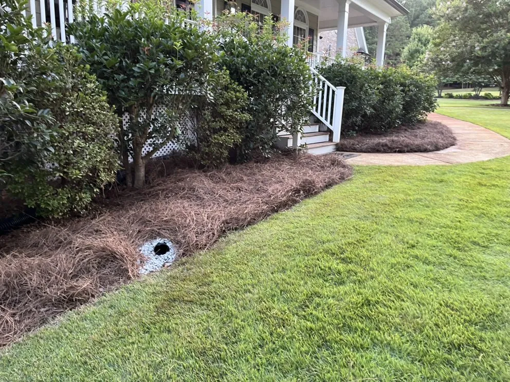 Top-rated yard cleanup service for homes across Jefferson, GA - Hartco Enterprises
