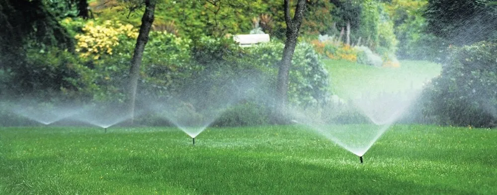 Trusted yard cleanup service in Cortlandt, NY by Harter Landscaping & Contracting