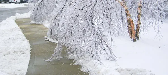 Top-rated landscape installation for homes across Scarsdale, NY - Harter Landscaping of Scarsdale