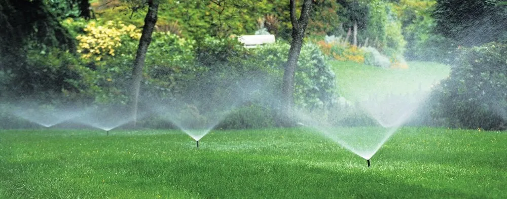 Reliable lawn care service in New Rochelle, NY by Harter Landscaping of White Plains