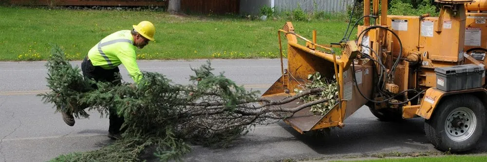 Affordable landscape design near you in New Rochelle, NY by Harter Landscaping of White Plains