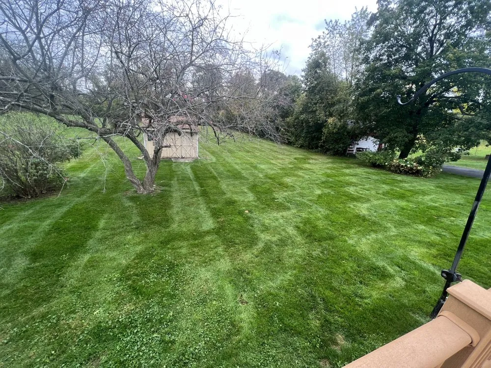 Affordable yard cleanup service experts serving Pine City, NY - Hartke Lawn Care