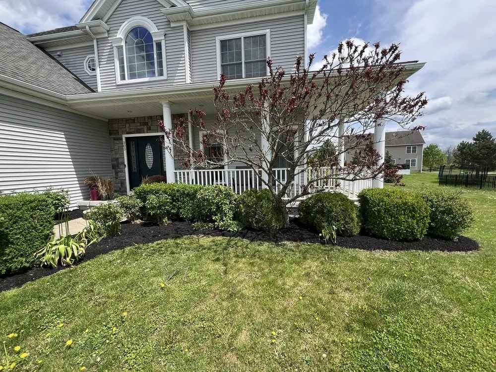 Top-rated yard cleanup service in Pine City, NY - Hartke Lawn Care