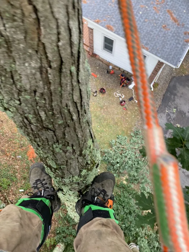 Custom lawn mowing service in Charlton, MA by Hartland