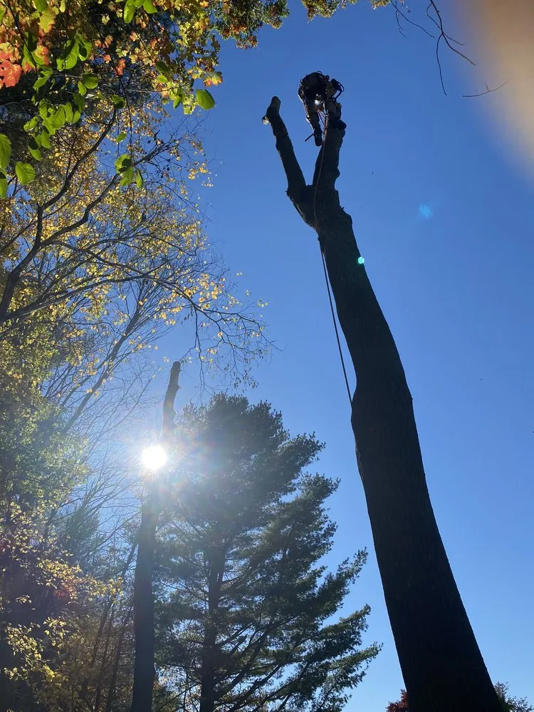 Top-rated landscape design in Charlton, MA by Hartland