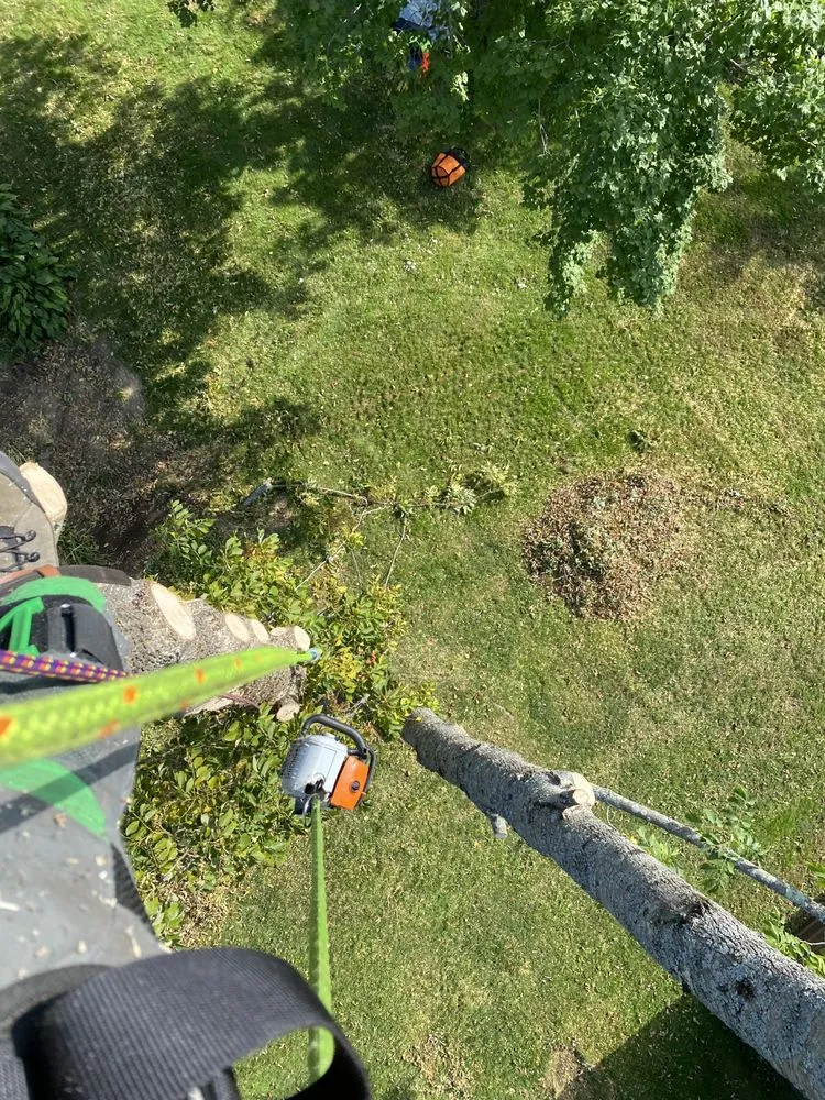 Trusted lawn mowing service in Charlton, MA - Hartland