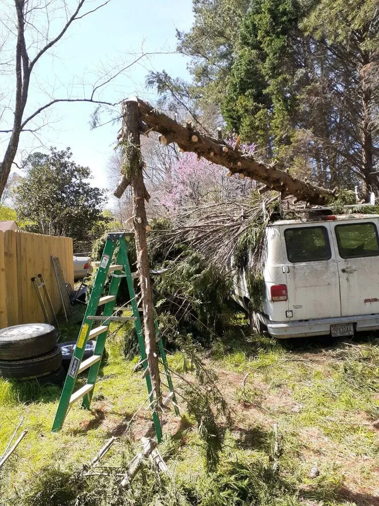 Top-rated landscape design experts serving Snellville, GA - Hartley Wales