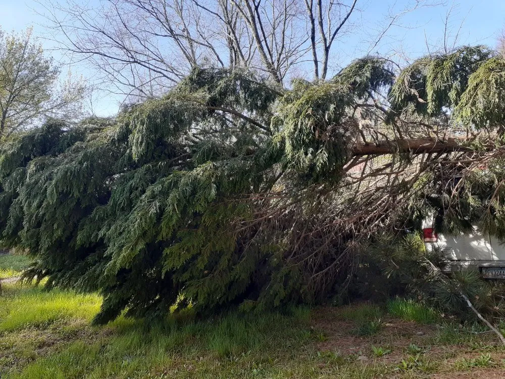 Custom lawn mowing service experts serving Snellville, GA - Hartley Wales