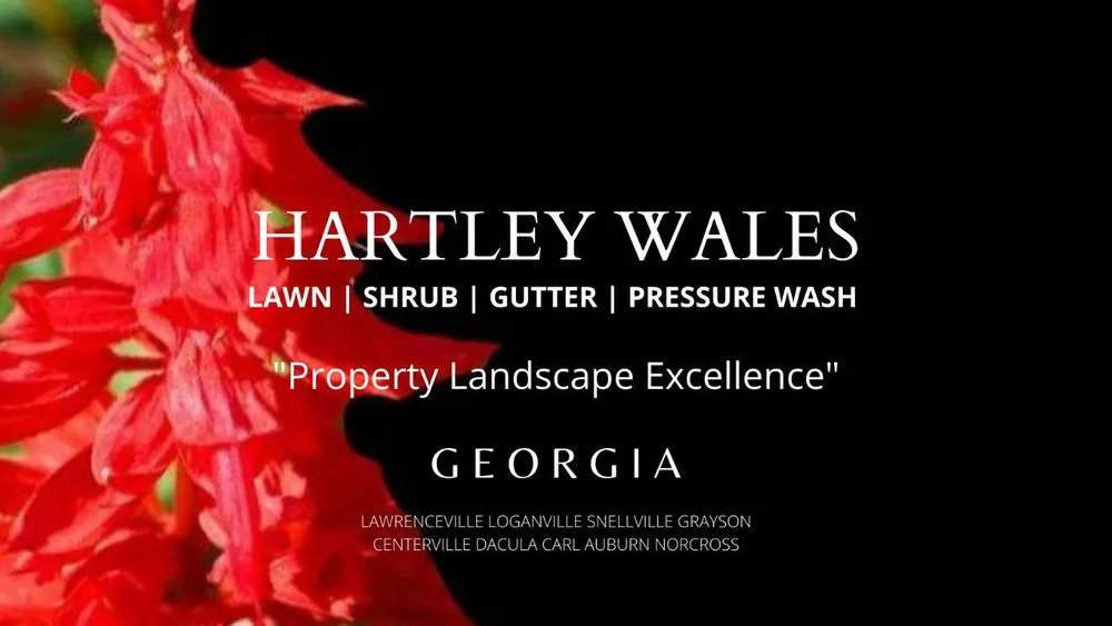 Local landscape installation near you in Snellville, GA by Hartley Wales