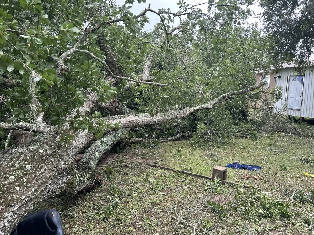 Top-rated landscaping services in Sweeny, TX - Hartline Hands