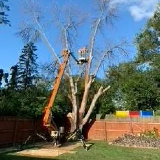 Trusted yard cleanup service experts serving Waverly, IA - Hartman Services