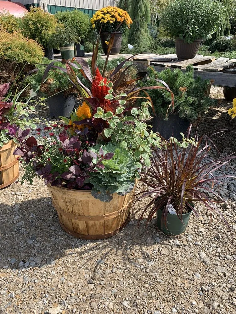 Professional garden landscaping for outdoor upgrades in Waverly, IA by Hartman Services