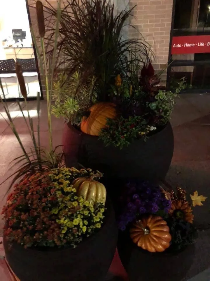 Reliable lawn care service with custom design across Waverly, IA - Hartman Services