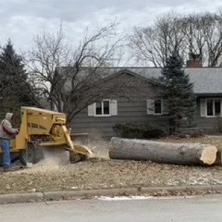 Professional lawn care service in Waverly, IA - Hartman Services