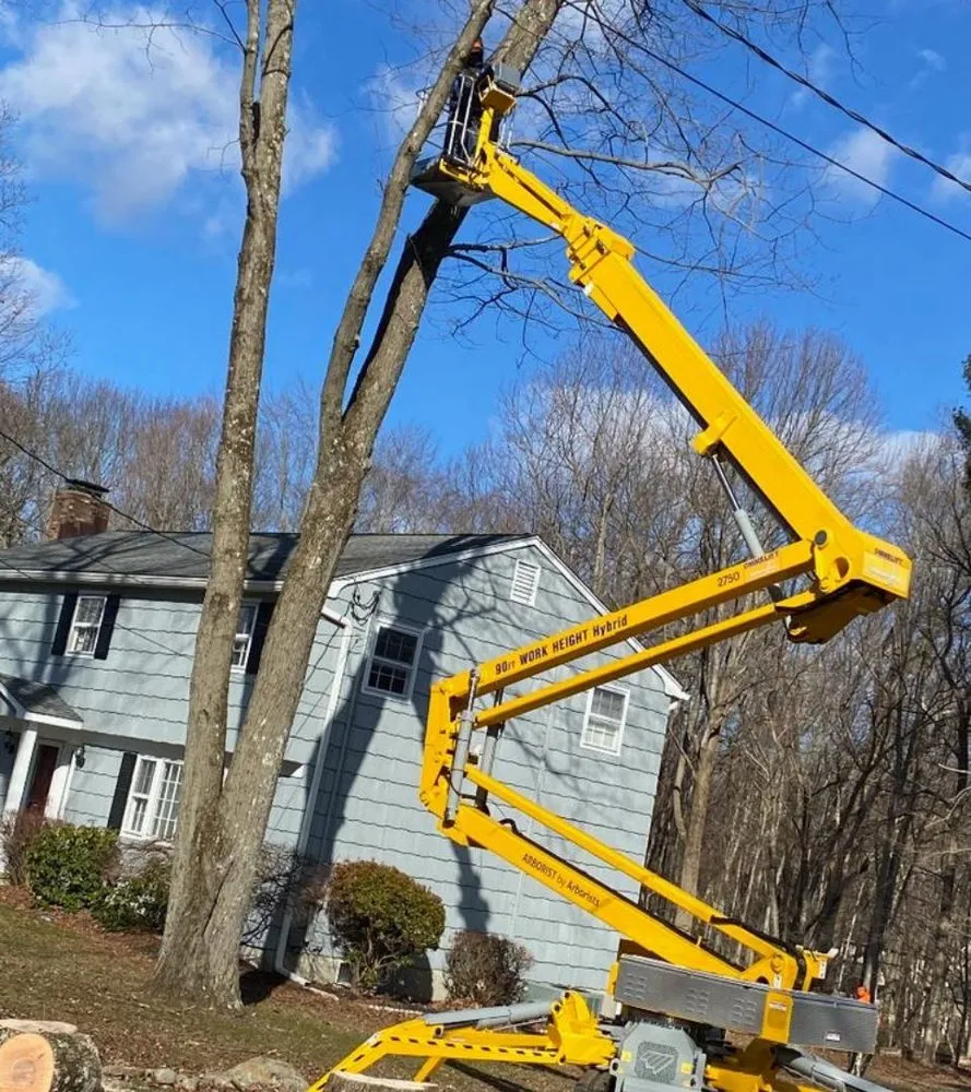 Professional garden landscaping in Frankfort, KY - Hartmans Lawn Maintenance