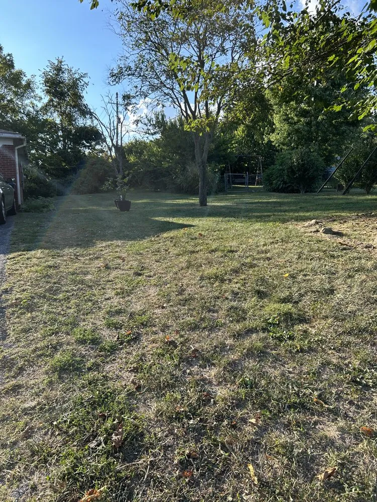 Top-rated lawn care service near you in Frankfort, KY by Hartmans Lawn Maintenance