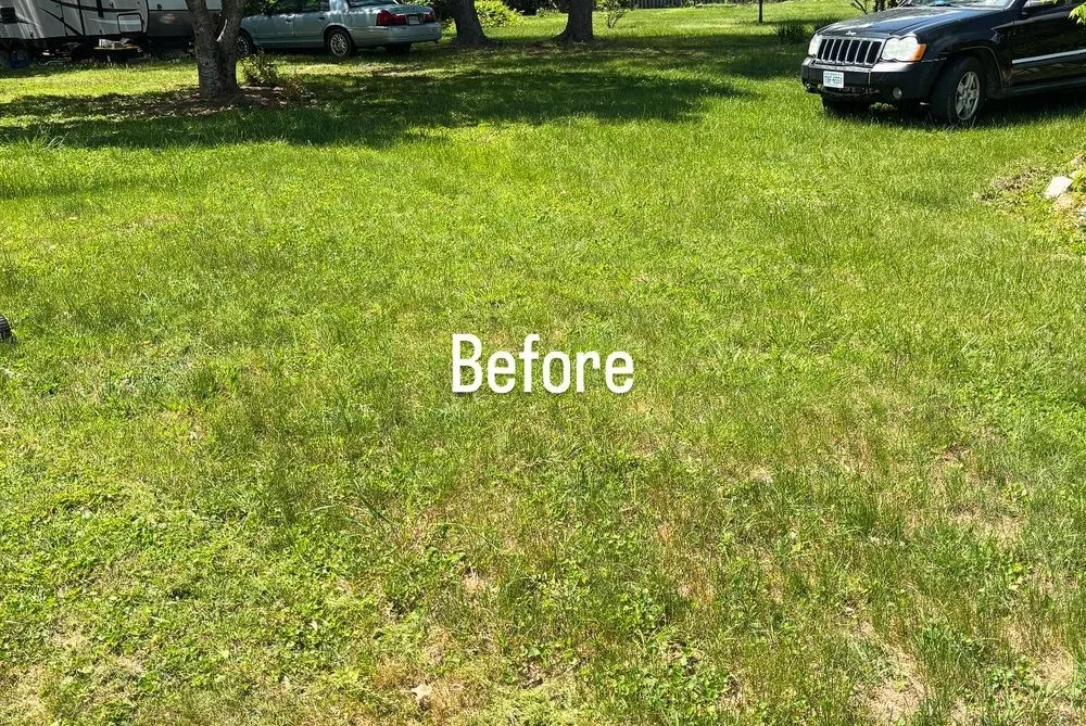Professional yard cleanup service experts serving Vinton, VA - Hartmans Lawncare