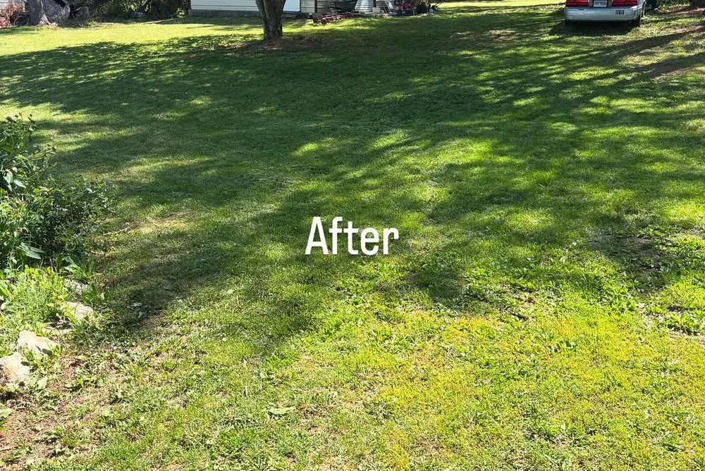 Custom landscape design near you across Vinton, VA - Hartmans Lawncare