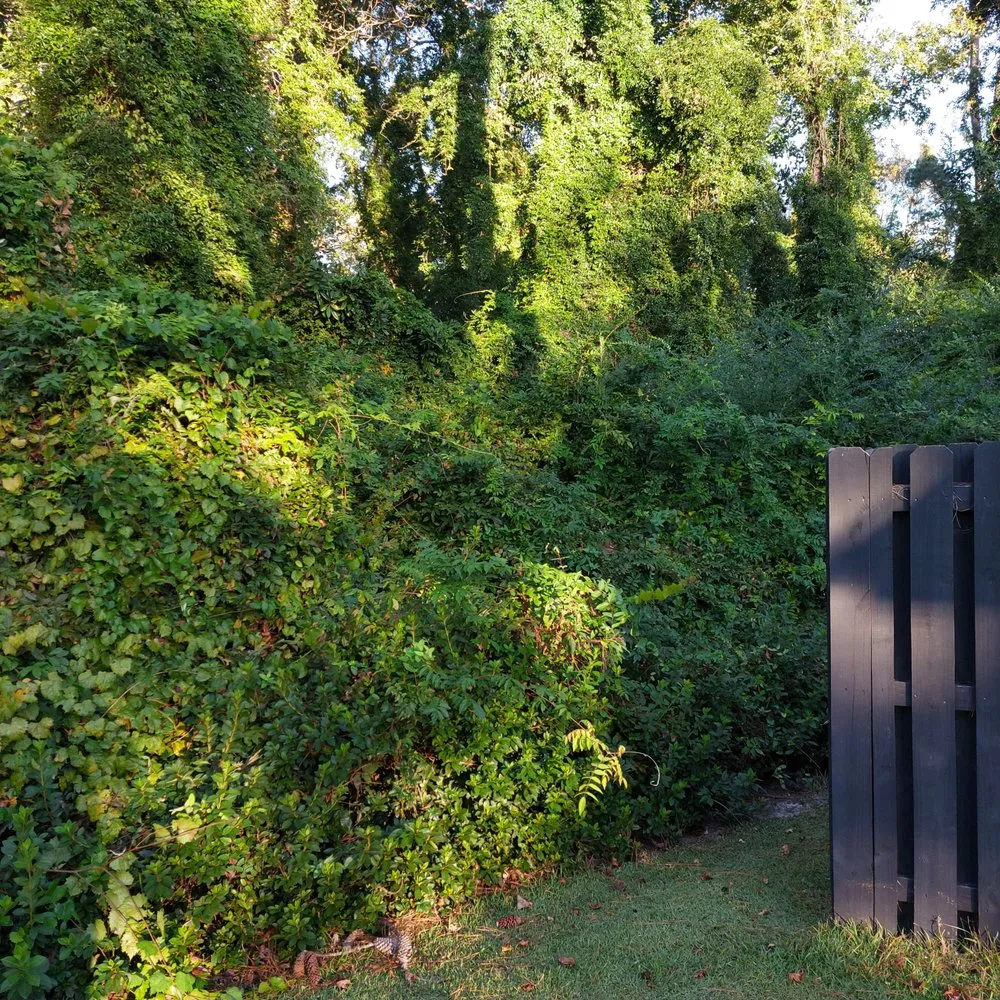 Reliable lawn care service with custom design across Rocky Point, NC - Harts Bush Hogging