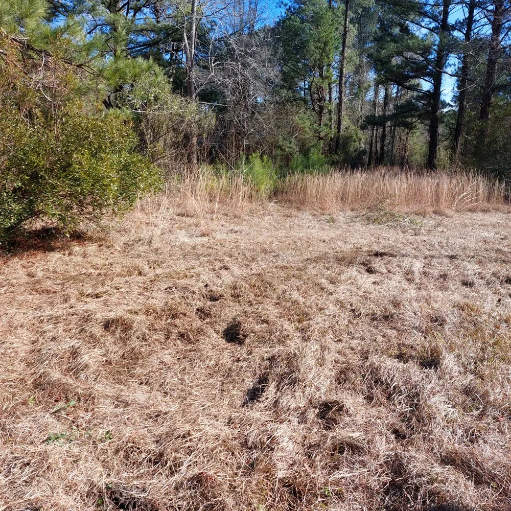 Local yard cleanup service in Rocky Point, NC - Harts Bush Hogging