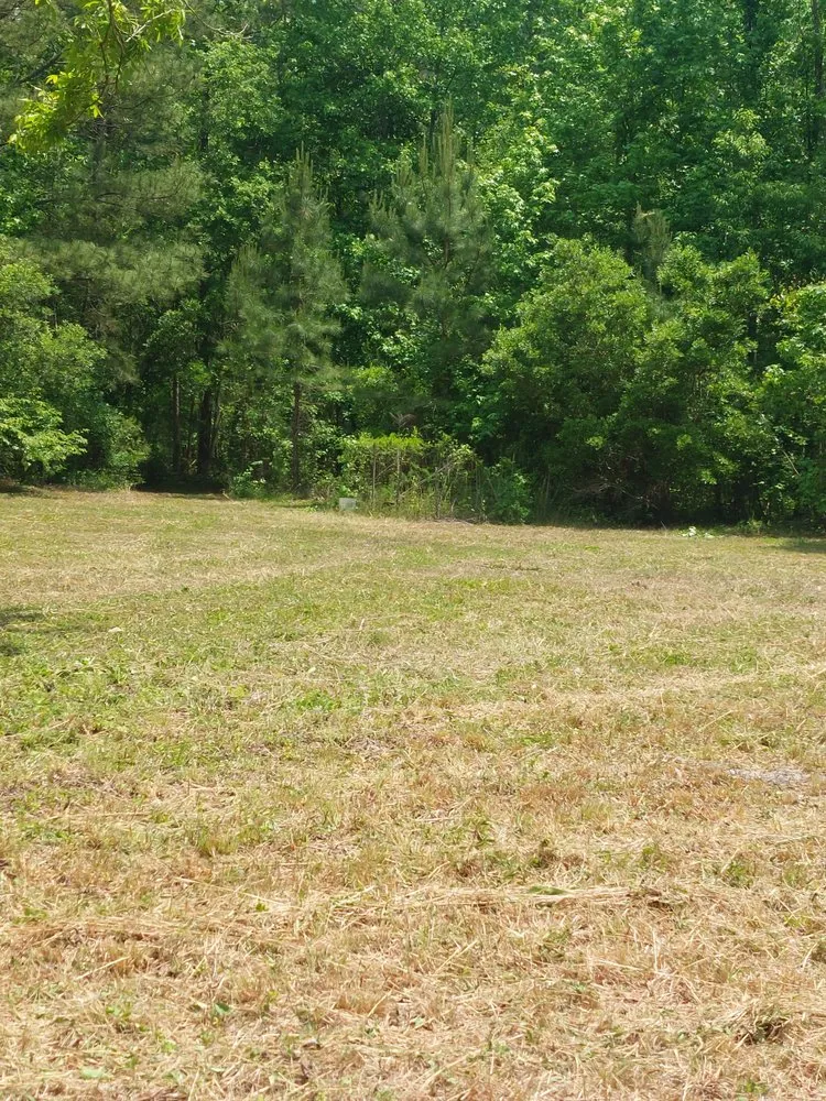 Affordable lawn care service in Rocky Point, NC by Harts Bush Hogging