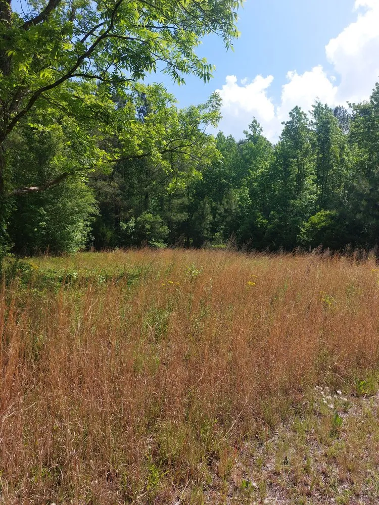 Reliable outdoor landscaping in Rocky Point, NC by Harts Bush Hogging