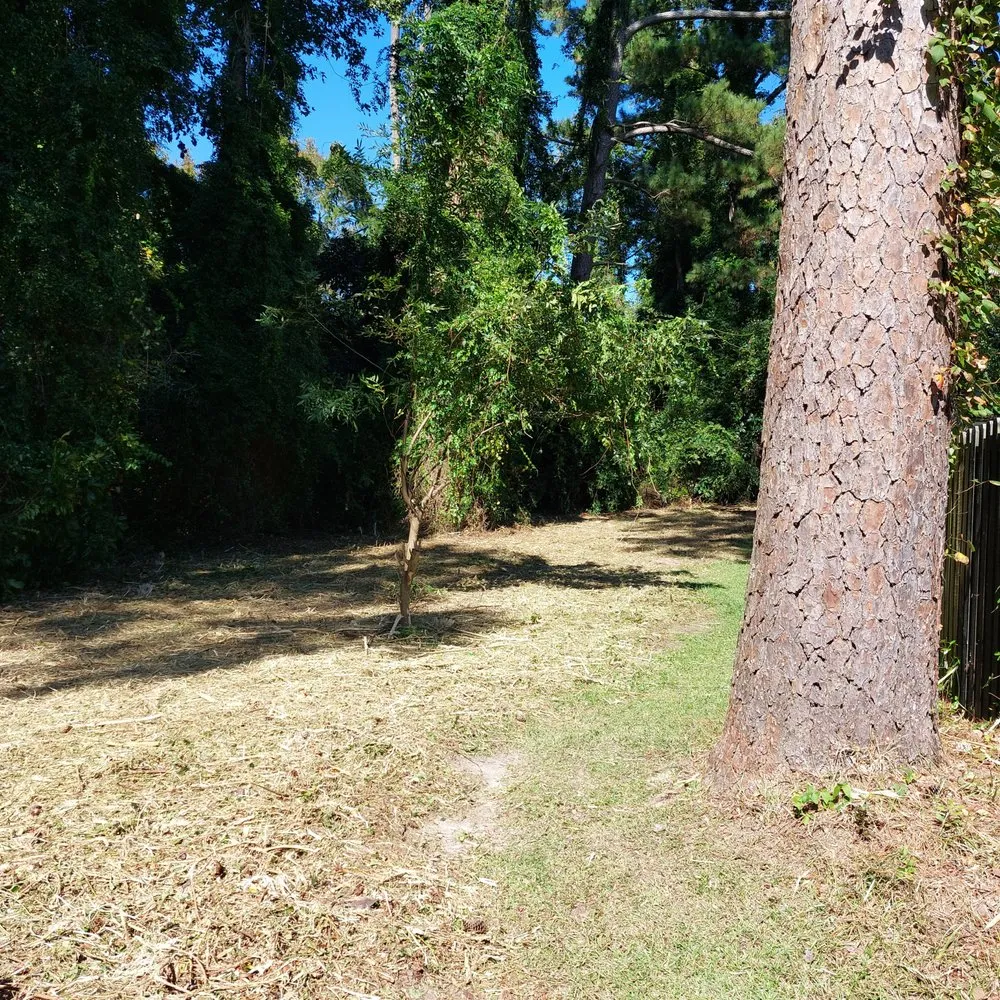 Custom yard cleanup service for outdoor upgrades in Rocky Point, NC by Harts Bush Hogging