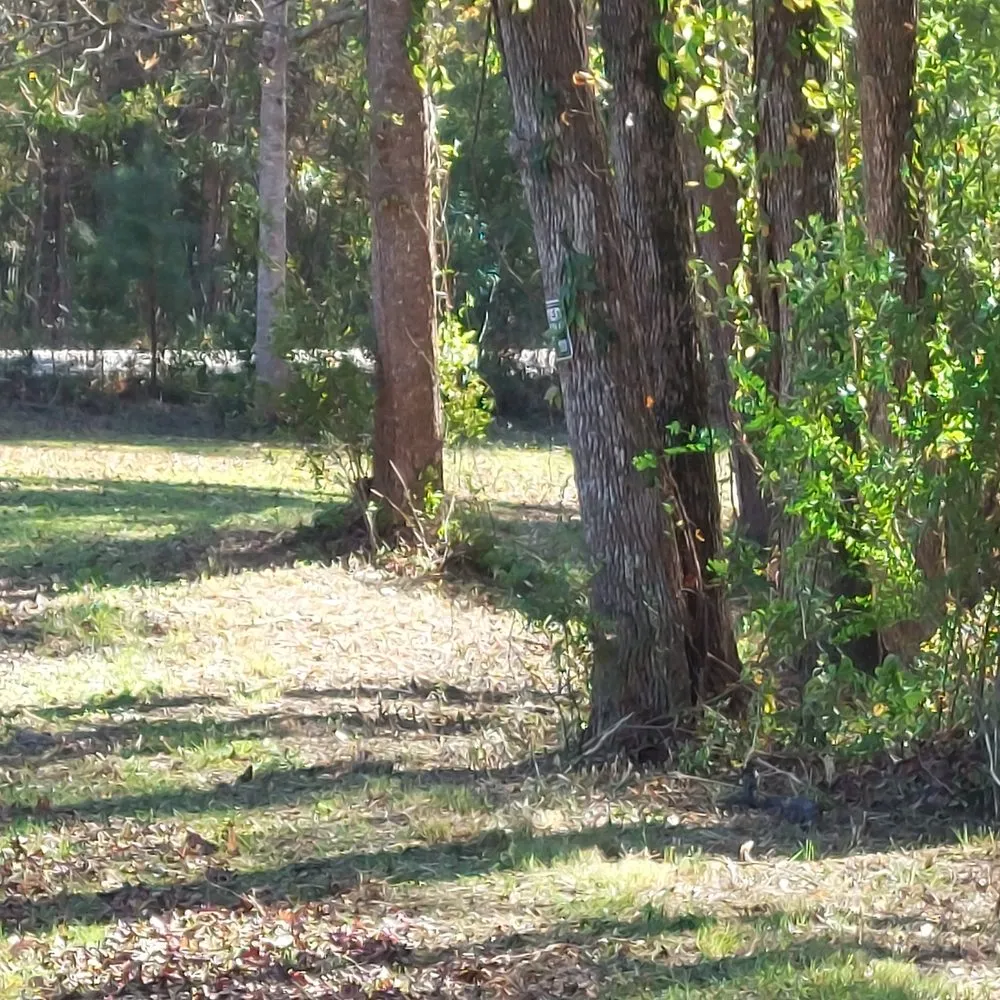 Custom residential landscaping experts serving Rocky Point, NC - Harts Bush Hogging