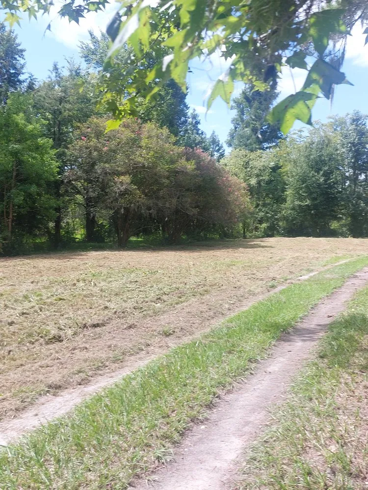 Custom lawn mowing service in Rocky Point, NC - Harts Bush Hogging