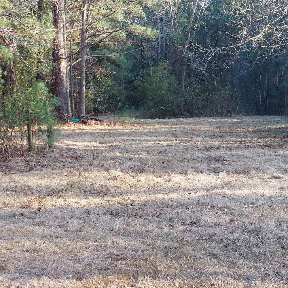 Local yard maintenance for beautiful yards across Rocky Point, NC - Harts Bush Hogging
