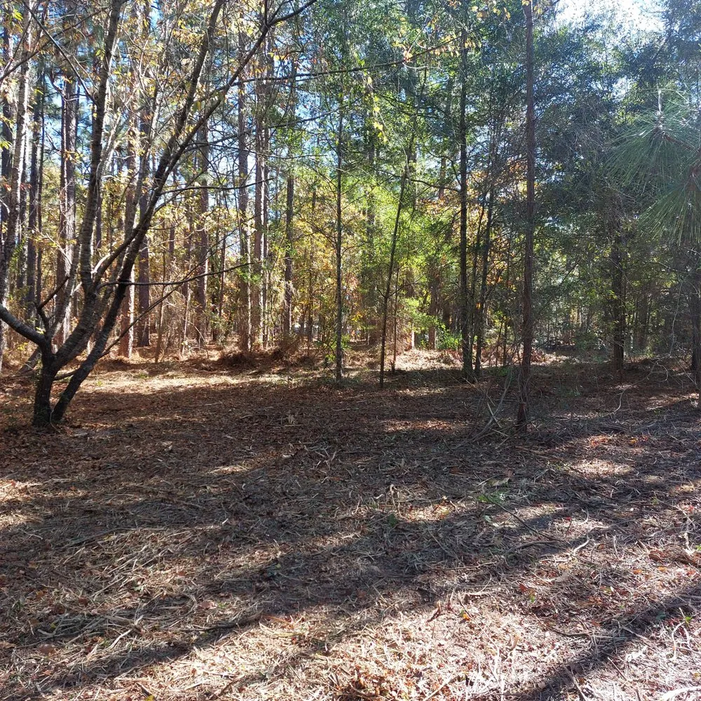 Expert yard maintenance for residential properties in Rocky Point, NC by Harts Bush Hogging