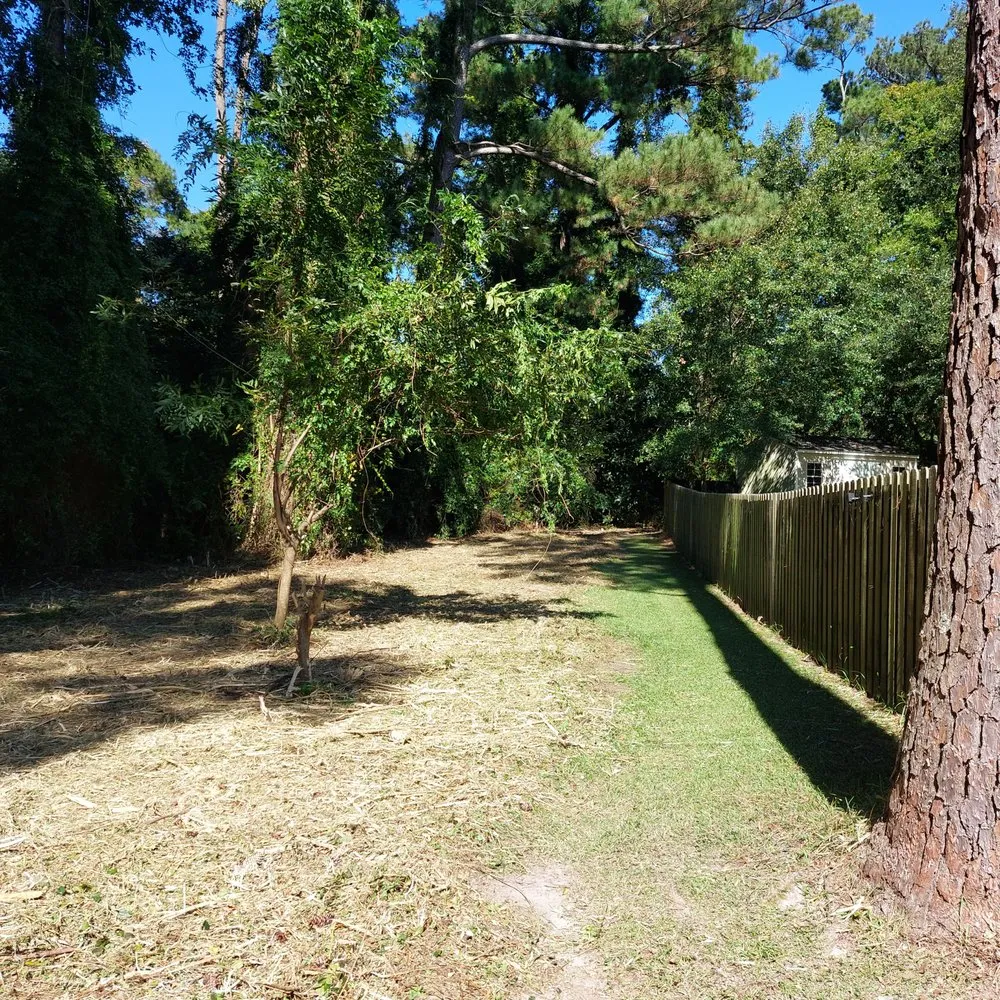 Trusted yard cleanup service experts serving Rocky Point, NC - Harts Bush Hogging
