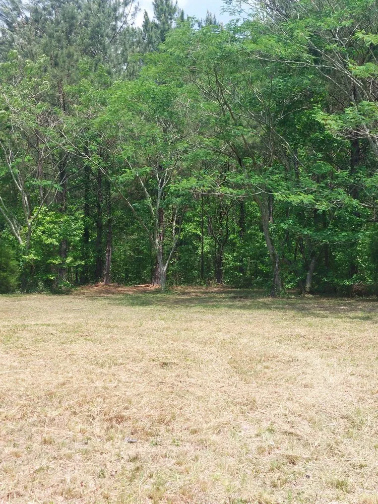 Custom lawn care service near you across Rocky Point, NC - Harts Bush Hogging