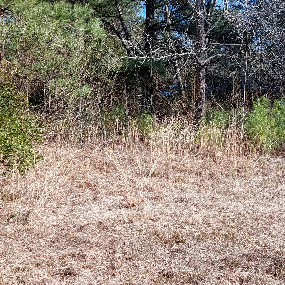 Custom landscape design for homes across Rocky Point, NC - Harts Bush Hogging