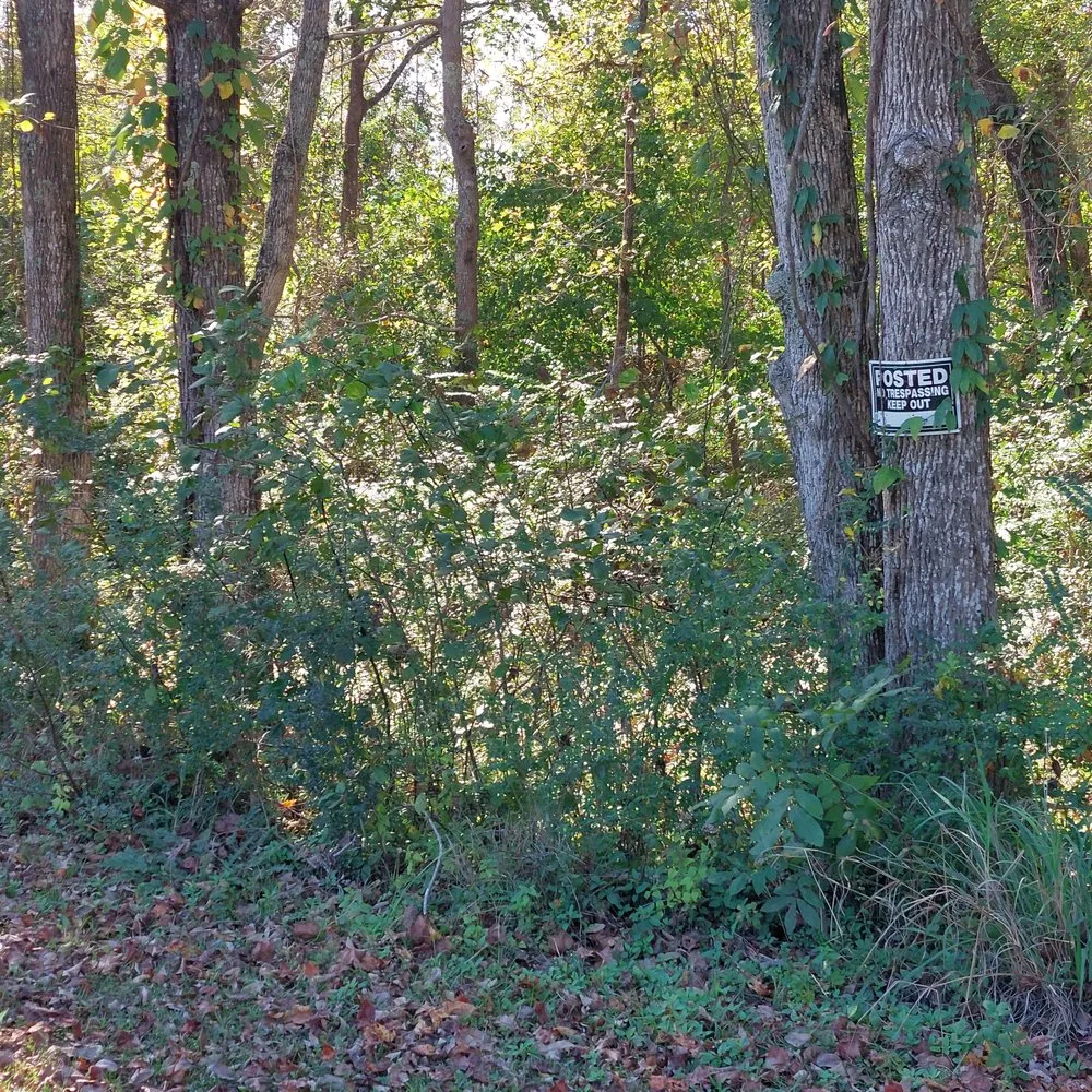 Professional residential landscaping in Rocky Point, NC by Harts Bush Hogging