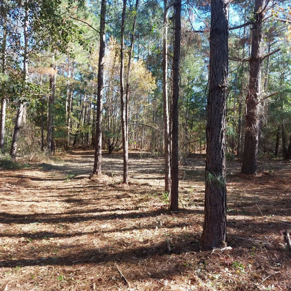 Top-rated residential landscaping near you across Rocky Point, NC - Harts Bush Hogging