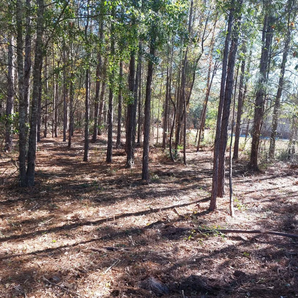 Affordable outdoor landscaping in Rocky Point, NC by Harts Bush Hogging