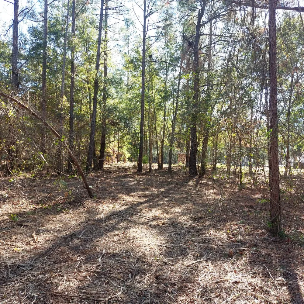 Affordable yard maintenance in Rocky Point, NC - Harts Bush Hogging