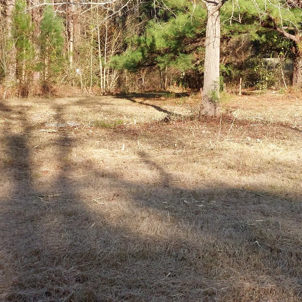 Expert residential landscaping in Rocky Point, NC - Harts Bush Hogging