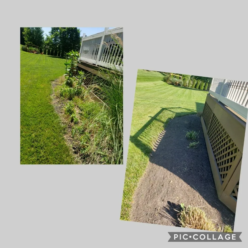 Top-rated landscaping services for beautiful yards across Pleasant Plain, OH - Harts Contracting