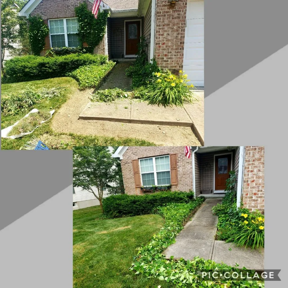 Top-rated yard cleanup service experts serving Pleasant Plain, OH - Harts Contracting