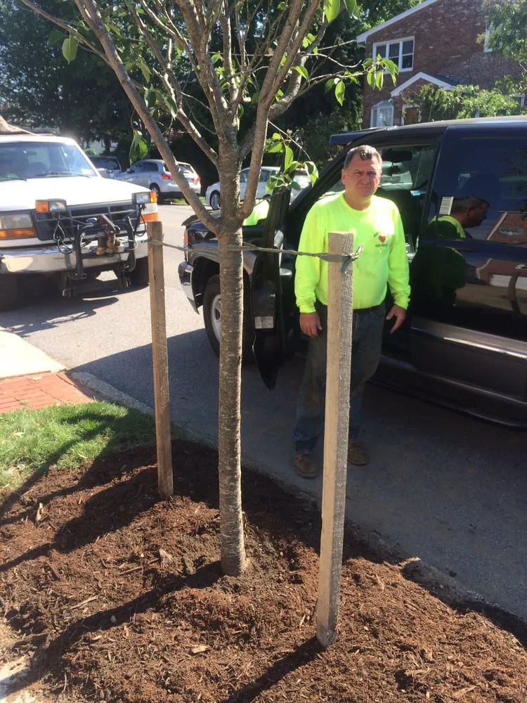 Professional lawn care service for homes in College Point, NY by Hart's Expert Tree Svce