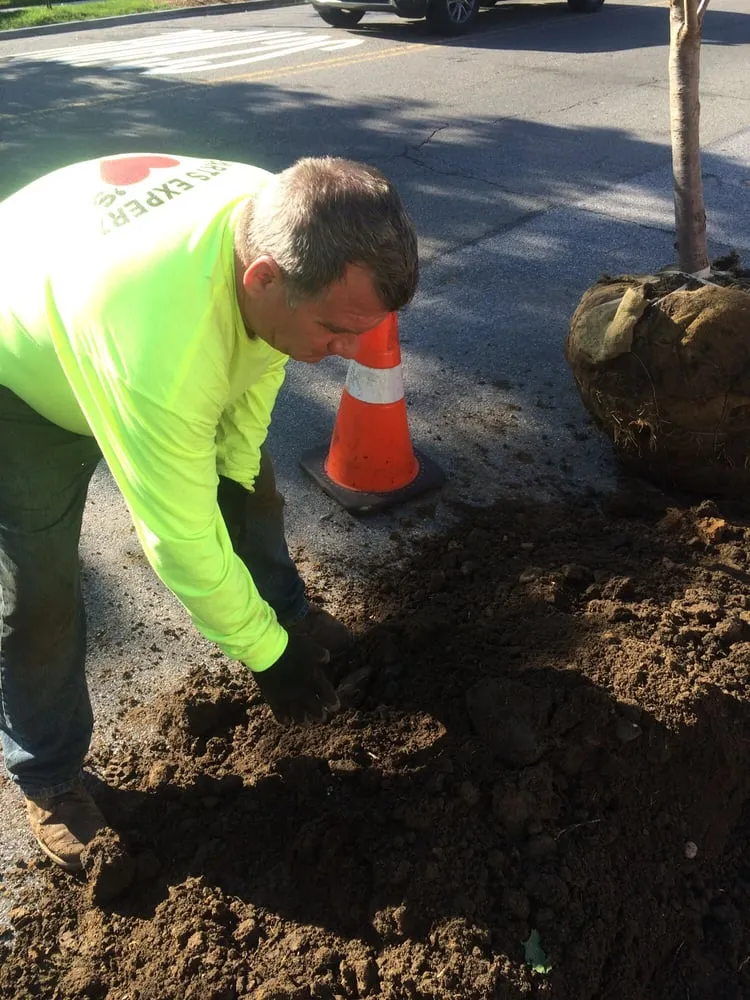 Local yard cleanup service in College Point, NY by Hart's Expert Tree Svce