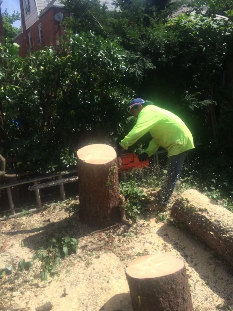 Trusted landscape design for beautiful yards across College Point, NY - Hart's Expert Tree Svce