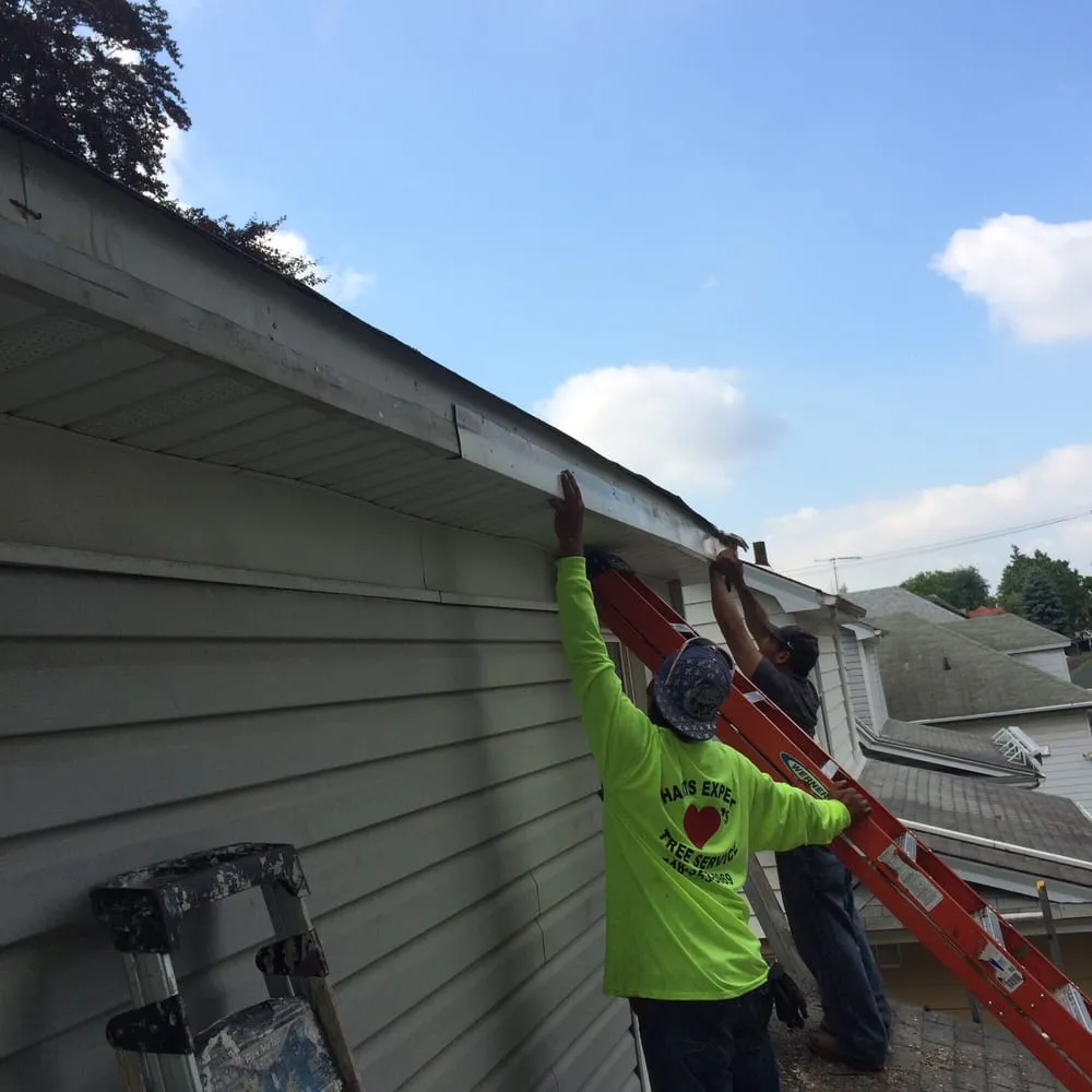 Affordable landscape design in College Point, NY - Hart's Expert Tree Svce