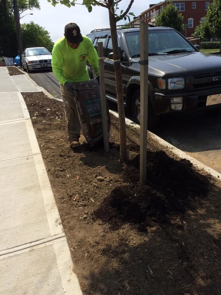 Reliable landscaping services in College Point, NY - Hart's Expert Tree Svce
