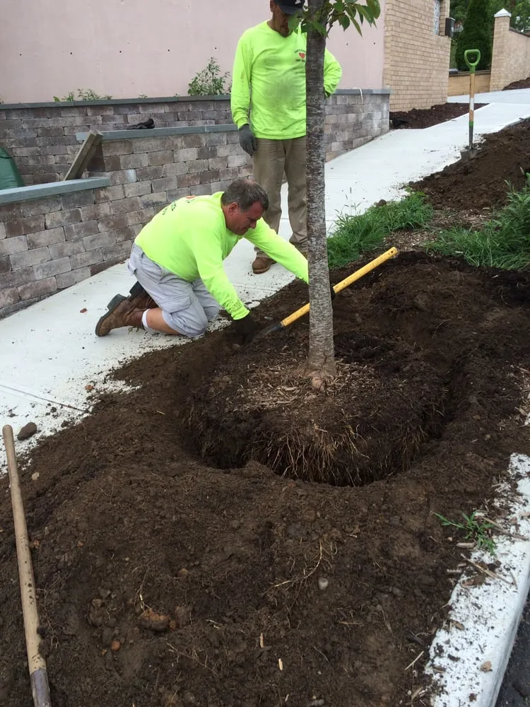 Expert outdoor landscaping in College Point, NY - Hart's Expert Tree Svce